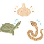 精力アップ