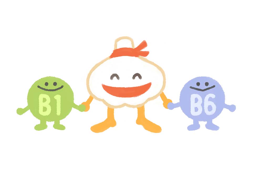 にんにくのアリシンとビタミンB１とを化学的に結びつけると、ビタミンB１を吸収しやすくする width=
